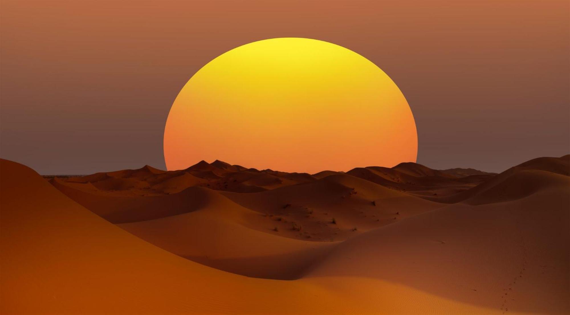 Desert Camel Trek เมอร์ซูกา ภายนอก รูปภาพ